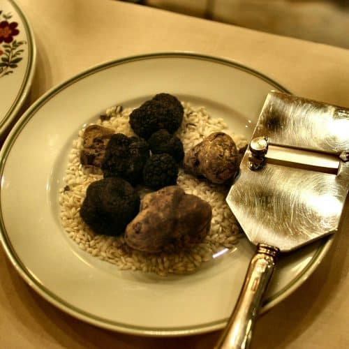 Ist in Tartufo Trüffel?
