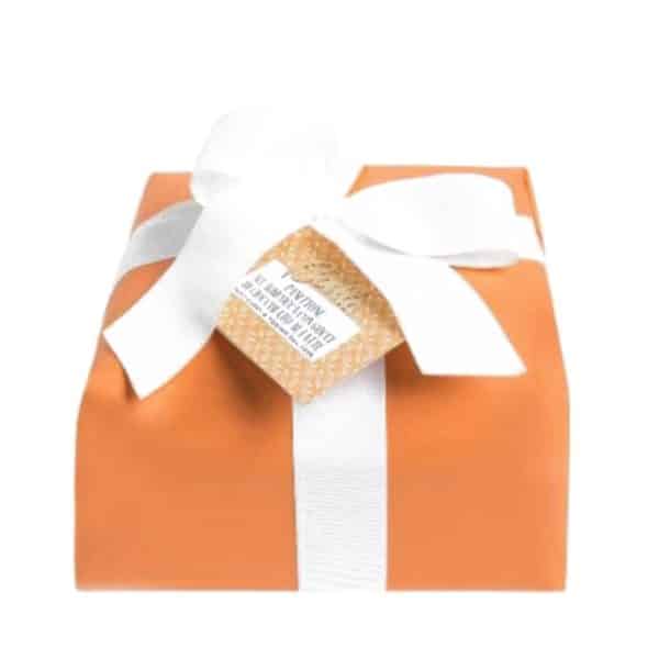 Panettone mit halbkandierten Aprikosen und Schokoladentropfen